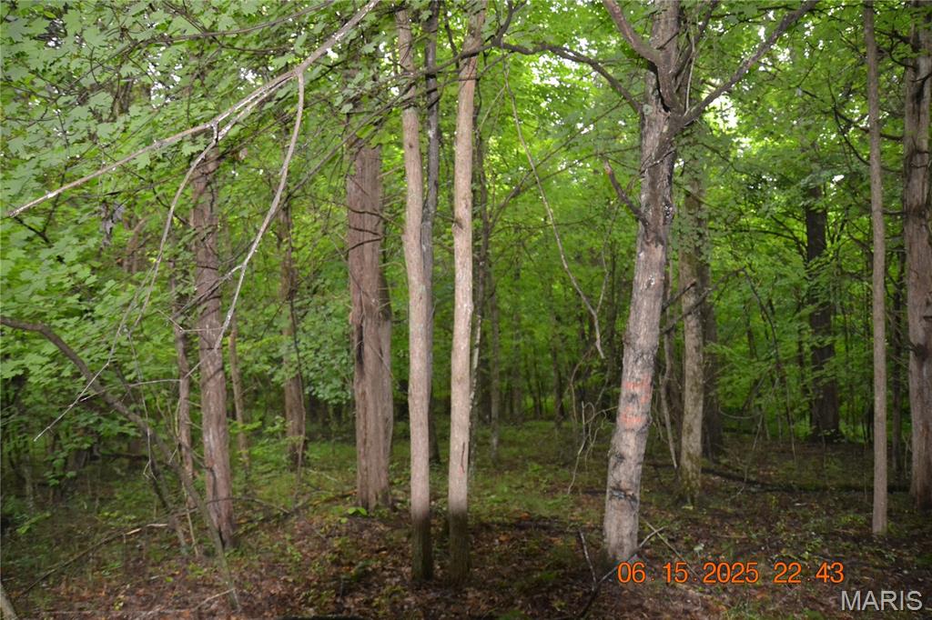 0 Old Cadet Road Bonne Terre, MO 63628 - Photo 8 of 16