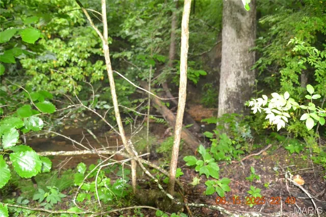 $110,000 | 0 Old Cadet Road, Bonne Terre, MO 63628