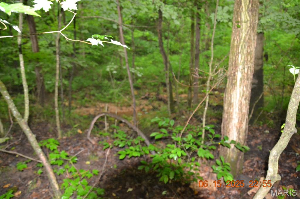 0 Old Cadet Road Bonne Terre, MO 63628 - Photo 10 of 16