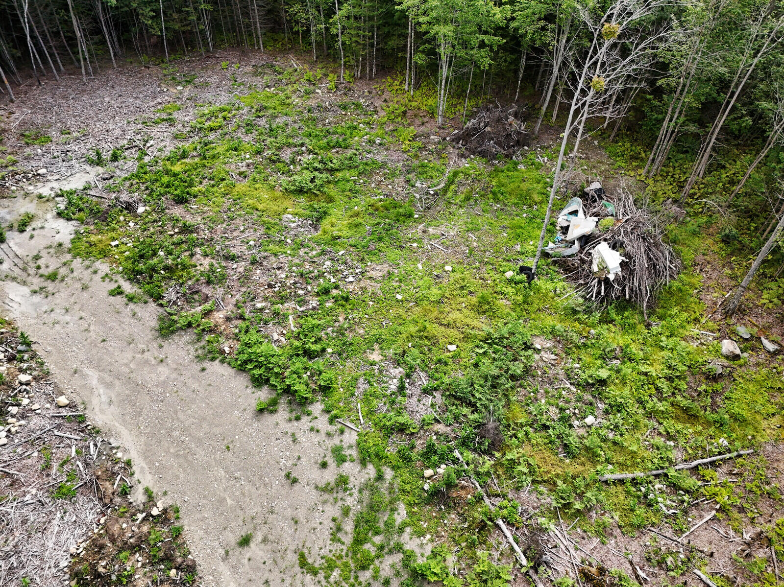 34 Wing Lane Cornville, ME 04976 - Photo 11 of 27 11_DJI_20240731094428_0058_D_DxO_mls