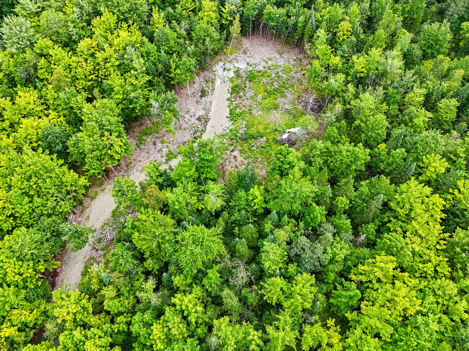34 Wing Lane Cornville, ME 04976 - Photo 12 of 27 12_DJI_20240731094236_0047_D_DxO_mls