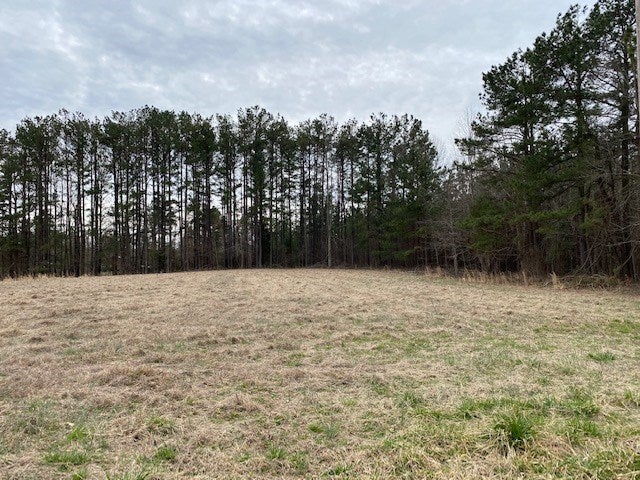 Craig Mill Road, Unit B2 Kenbridge, VA 23944 - Photo 5 of 14 Gallery Image 5