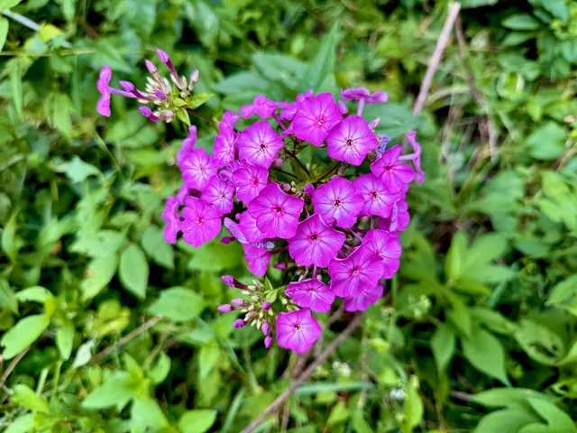 $294,500 | E590 Mundsack Road, Genoa, WI 54632