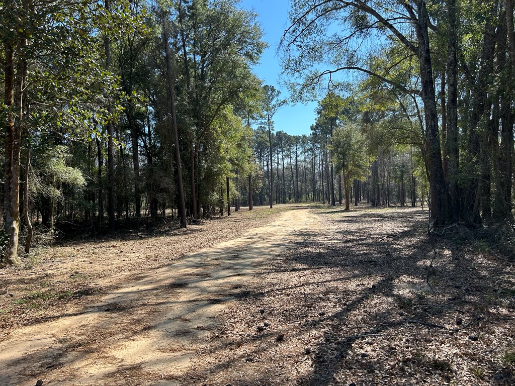 15-ac Webb Road Dothan, AL 36301 - Photo 22 of 33