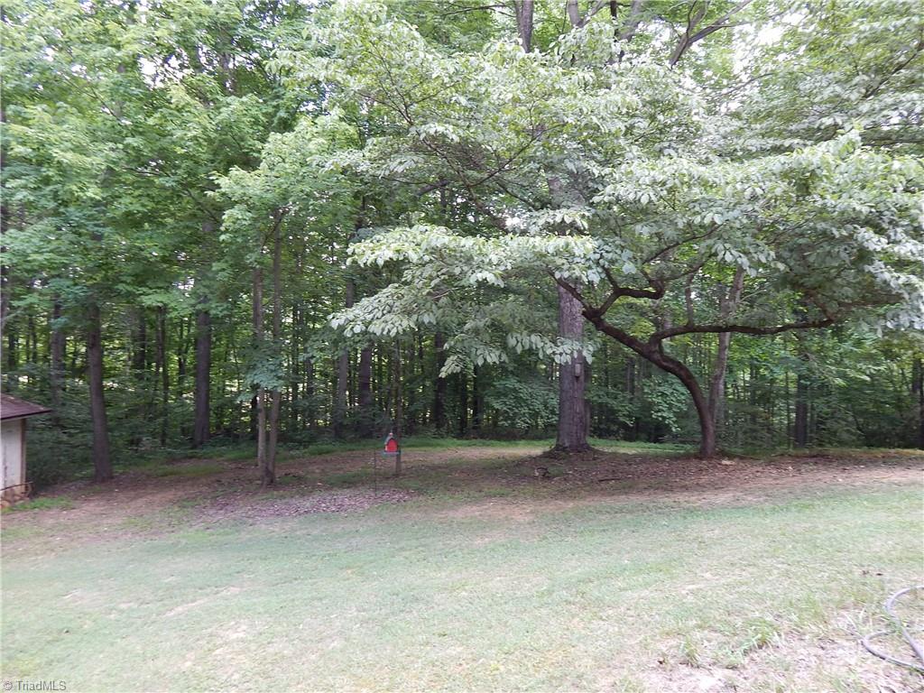 1176 Hill Road King, NC 27021 - Photo 20 of 24