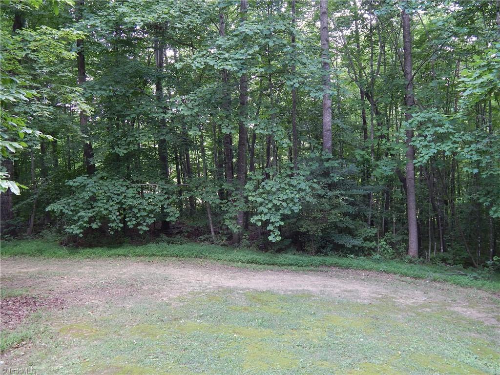 1176 Hill Road King, NC 27021 - Photo 22 of 24
