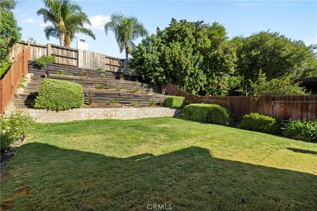 a view of a garden with plants