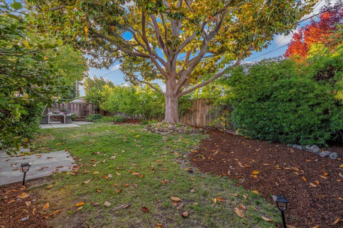 877 West Knickerbocker Drive Sunnyvale, CA 94087 - Photo 36 of 51 a backyard of a house with lots of green space