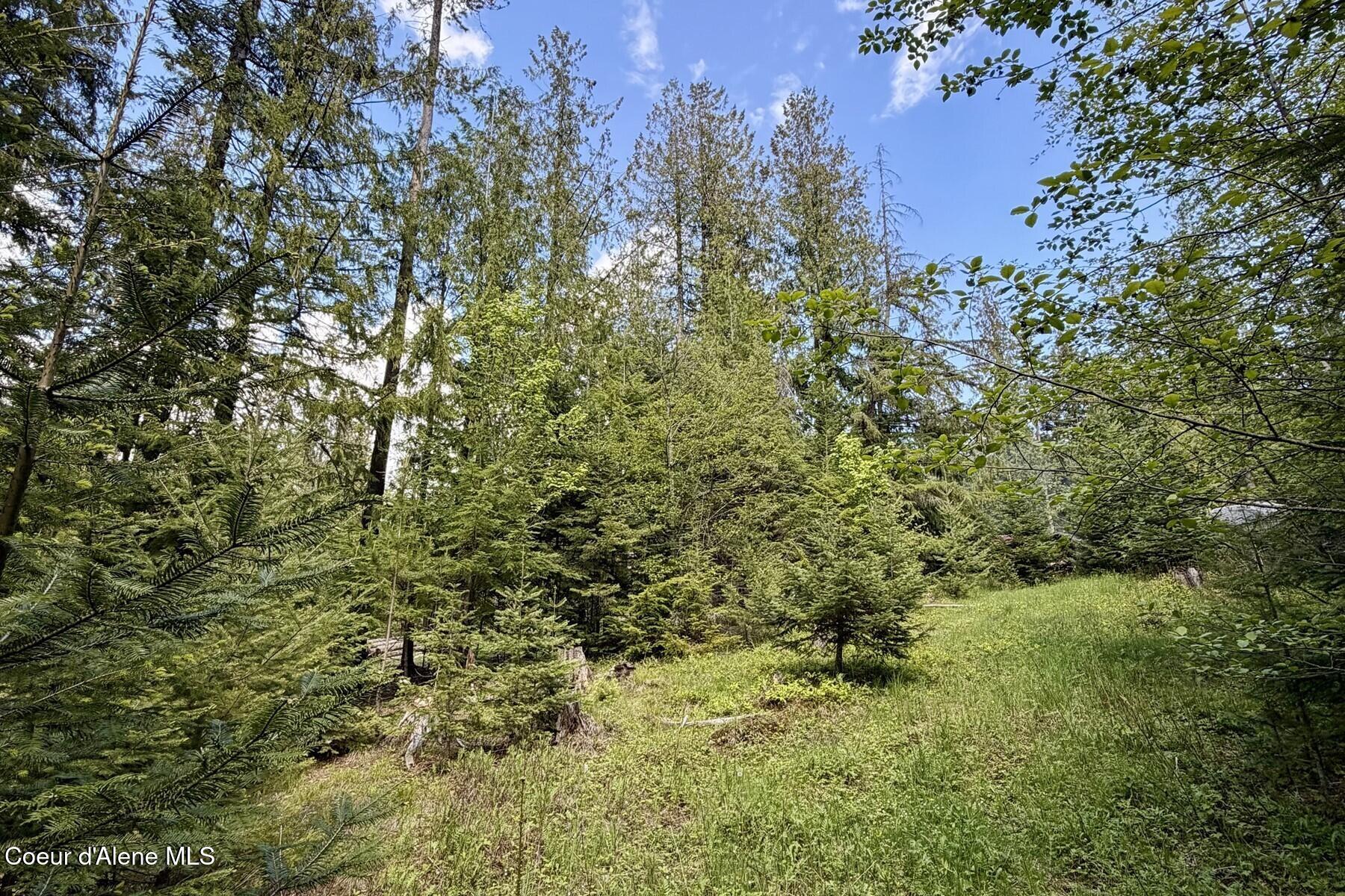 Nna Lot 4 Nna Road Sagle, ID 83860 - Photo 2 of 36 002_IMG_1444