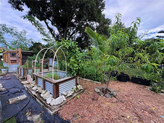 a view of a backyard with plants