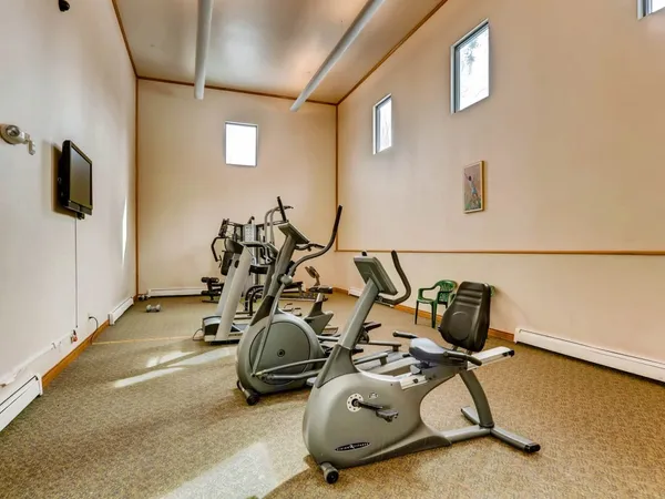 $265,000 | 4200 Lodgepole Circle, Unit 205, Silverthorne, CO 80498