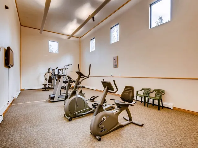 $265,000 | 4200 Lodgepole Circle, Unit 205, Silverthorne, CO 80498