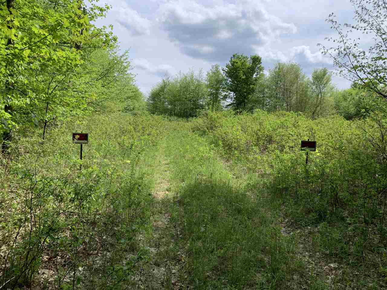 40 South 17 Road Boon, MI 49618 - Photo 29 of 33