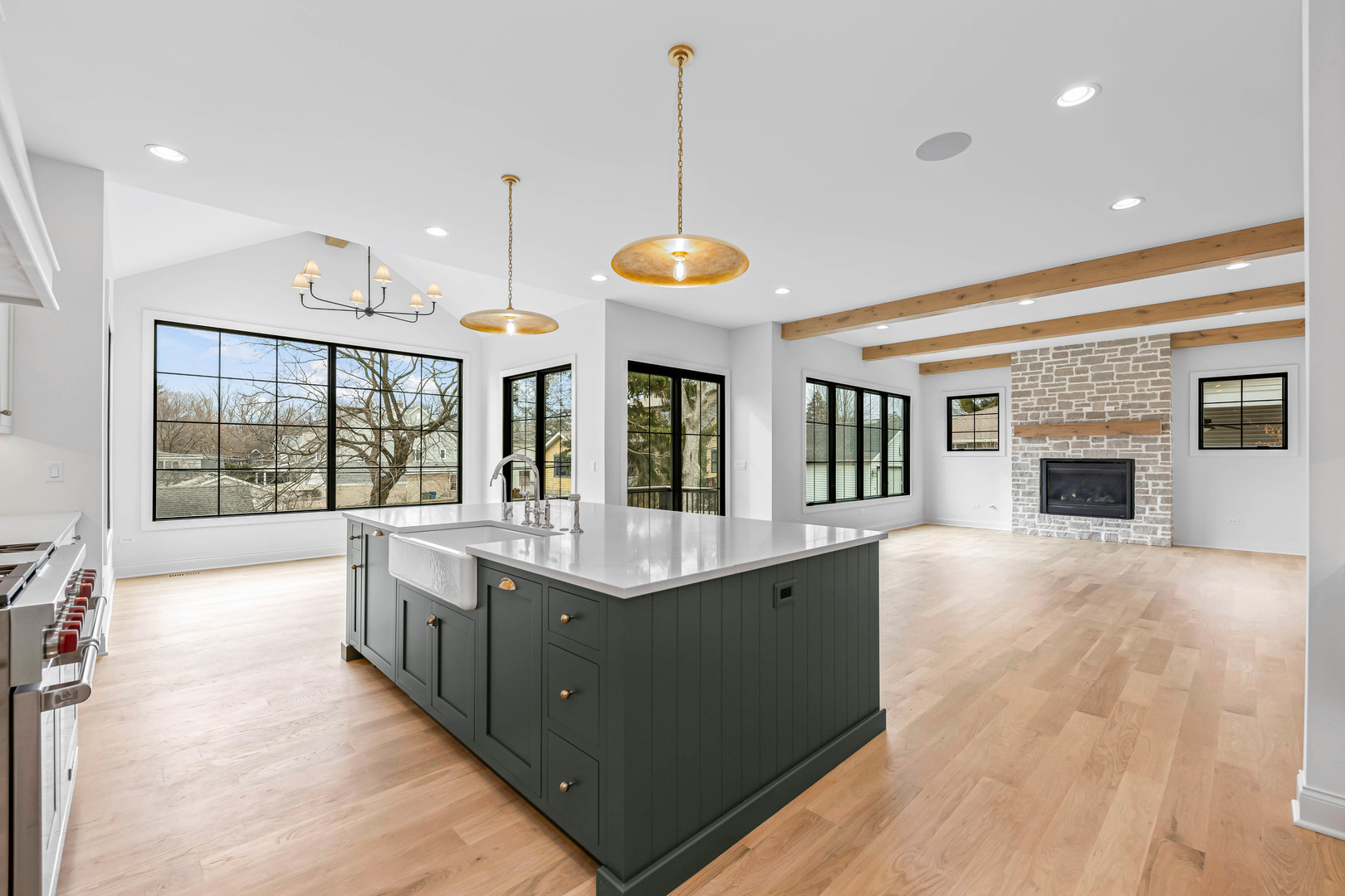 1310 Eagle Street Naperville, IL 60563 - Photo 7 of 38