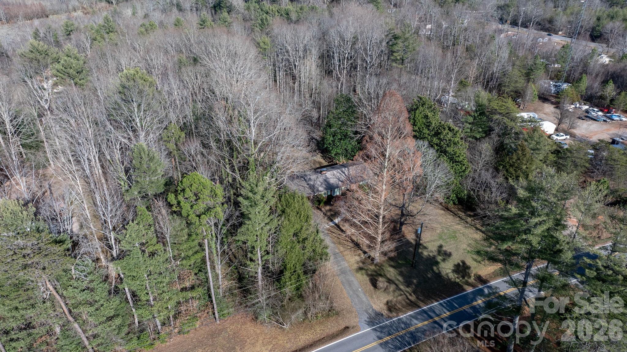 1200 Piedmont Road Morganton, NC 28655 - Photo 26 of 27 a view of a plants in a forest