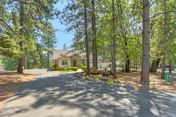 a view of a park with large trees