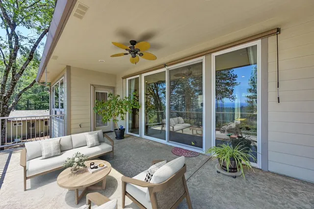 a view of a park with plants and a bench
