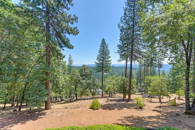 a view of a house with a tree and big yard