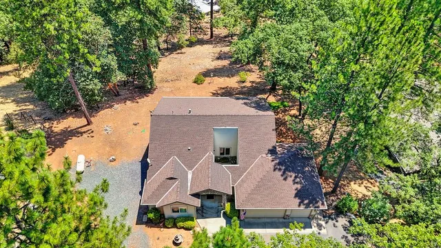 a view of a yard with plants and trees