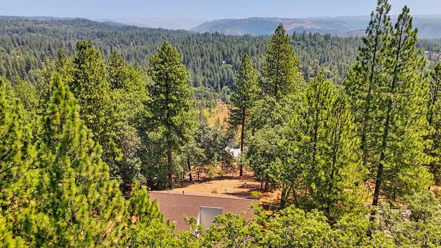 a view of a lush green field
