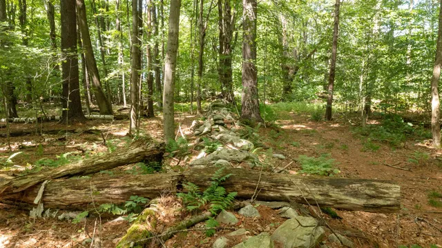 $249,000 | 0 Havoc Hill Road, East Dorset, VT 05253
