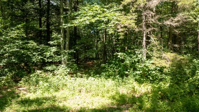 $249,000 | 0 Havoc Hill Road, East Dorset, VT 05253