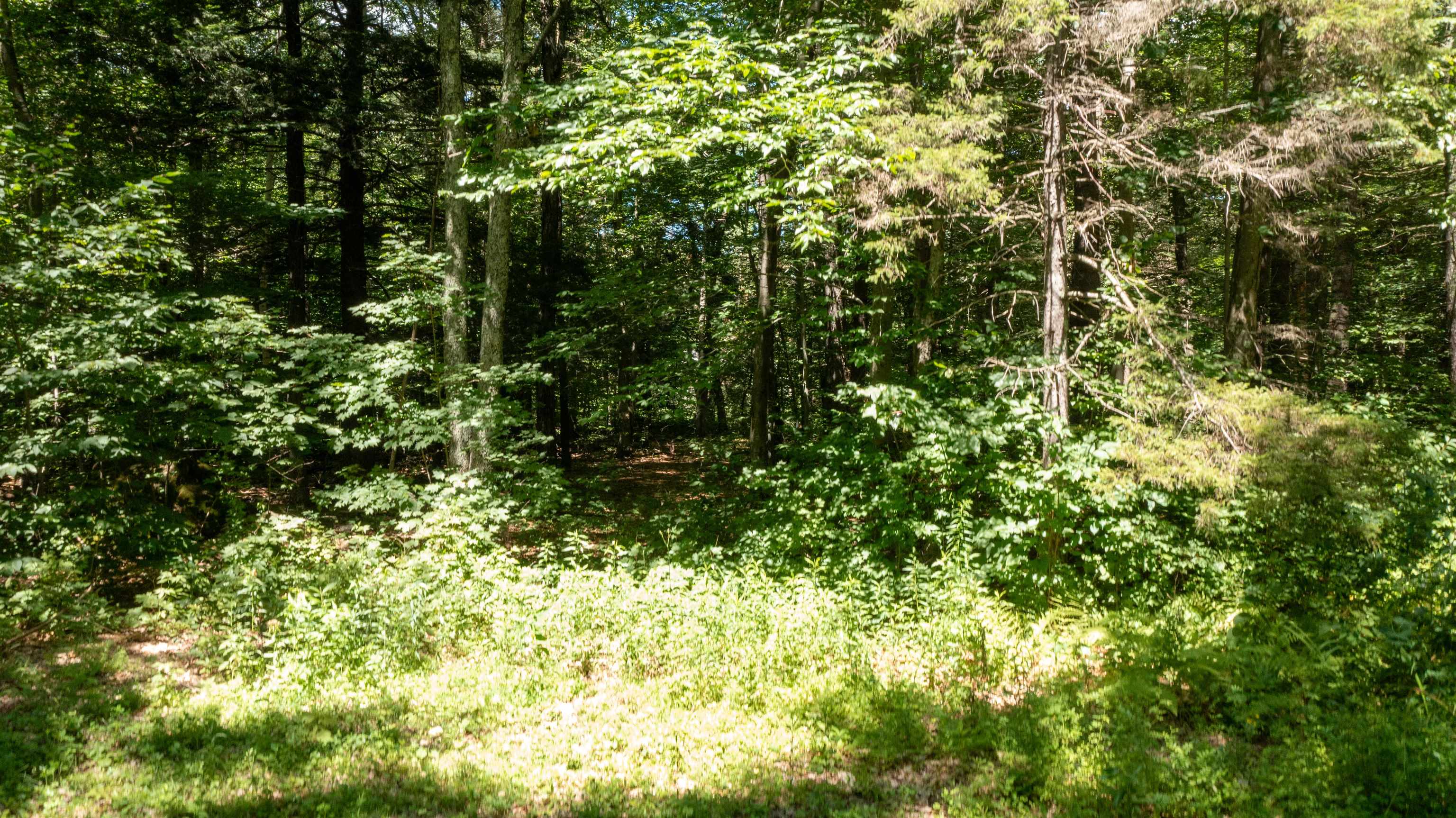 0 Havoc Hill Road East Dorset, VT 05253 - Photo 12 of 21