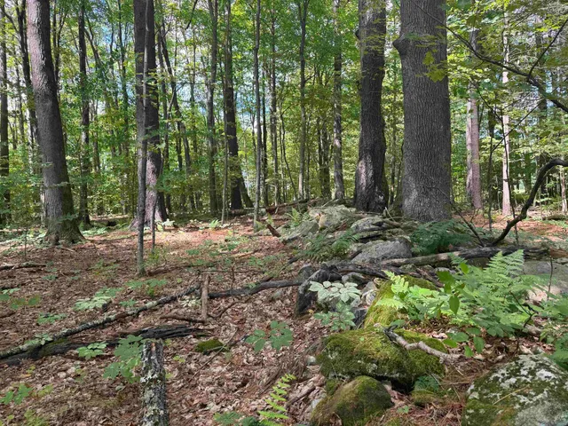 $249,000 | 0 Havoc Hill Road, East Dorset, VT 05253