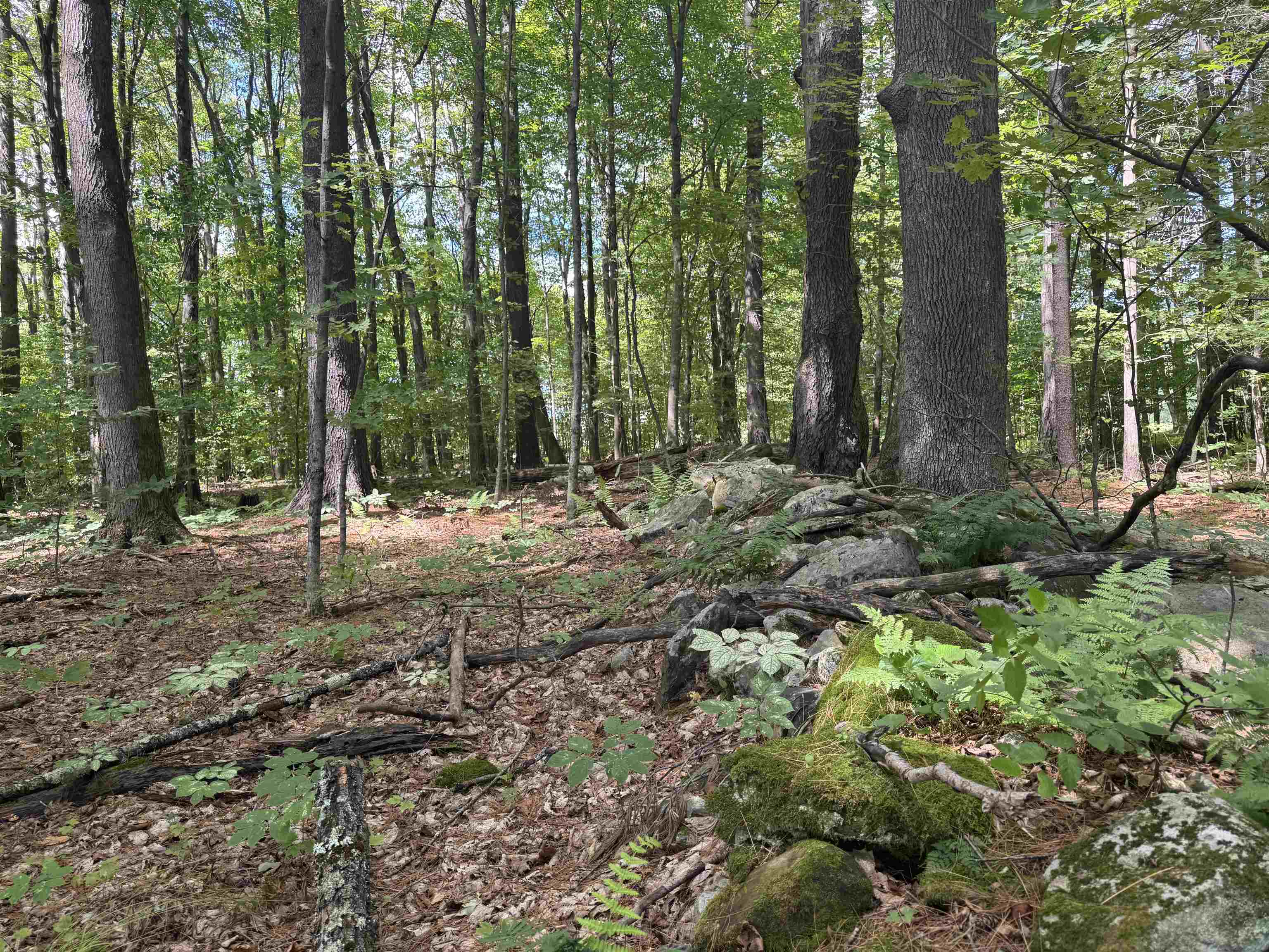 0 Havoc Hill Road East Dorset, VT 05253 - Photo 13 of 21