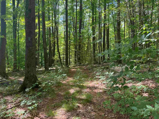 $249,000 | 0 Havoc Hill Road, East Dorset, VT 05253