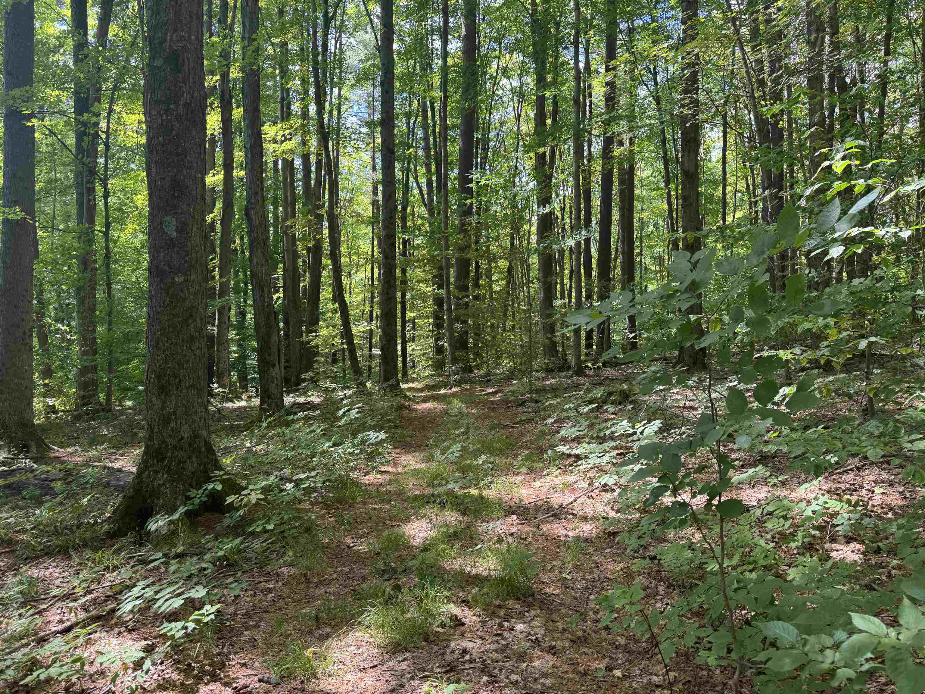 0 Havoc Hill Road East Dorset, VT 05253 - Photo 14 of 21