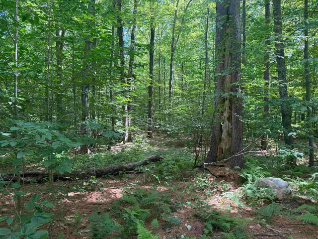 $249,000 | 0 Havoc Hill Road, East Dorset, VT 05253