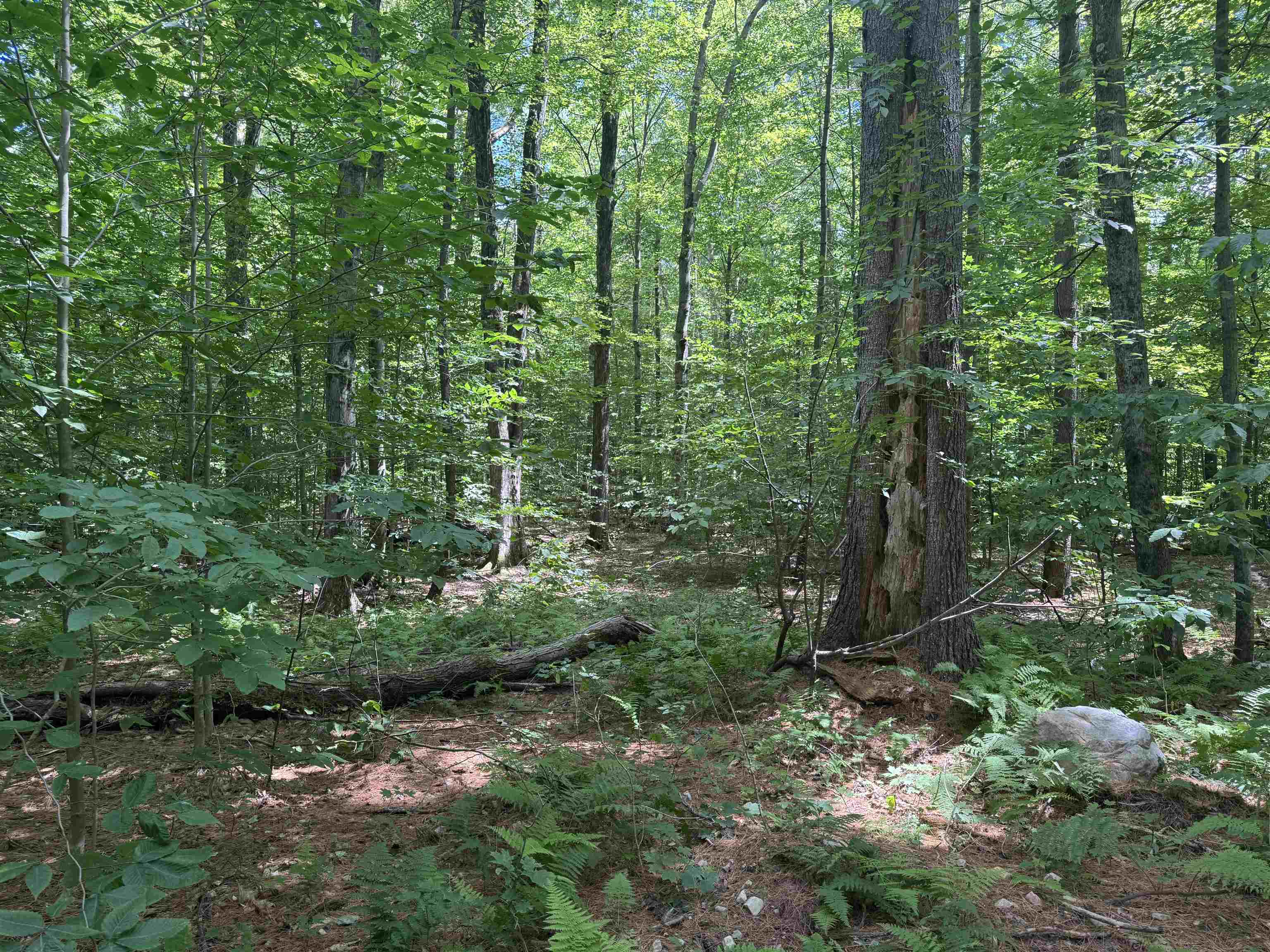 0 Havoc Hill Road East Dorset, VT 05253 - Photo 15 of 21