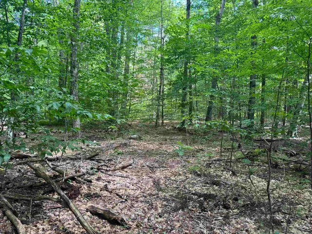 $249,000 | 0 Havoc Hill Road, East Dorset, VT 05253