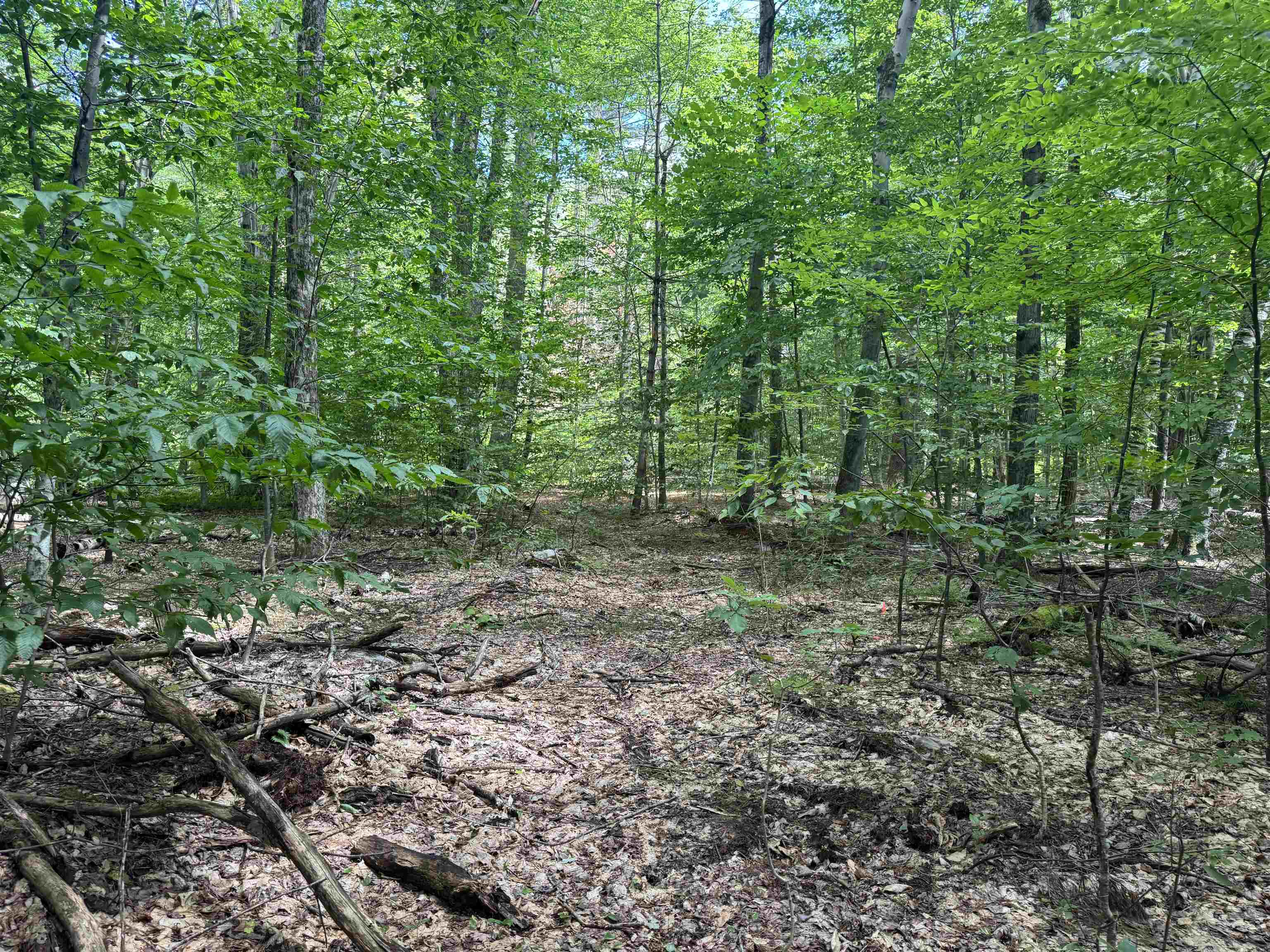 0 Havoc Hill Road East Dorset, VT 05253 - Photo 16 of 21