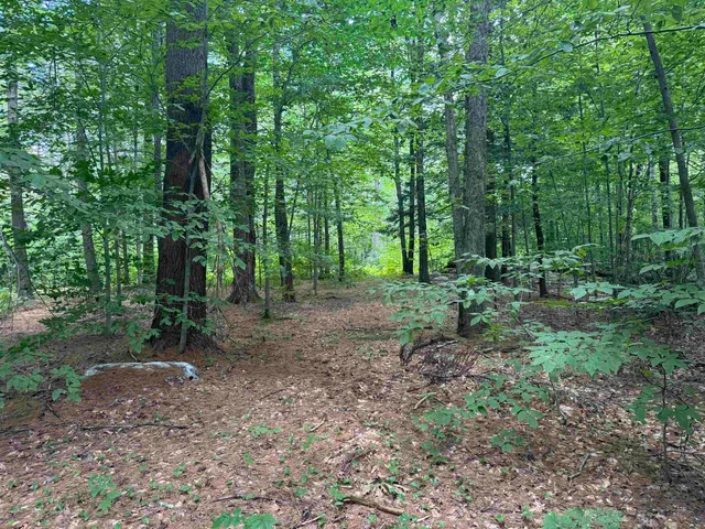 $249,000 | 0 Havoc Hill Road, East Dorset, VT 05253