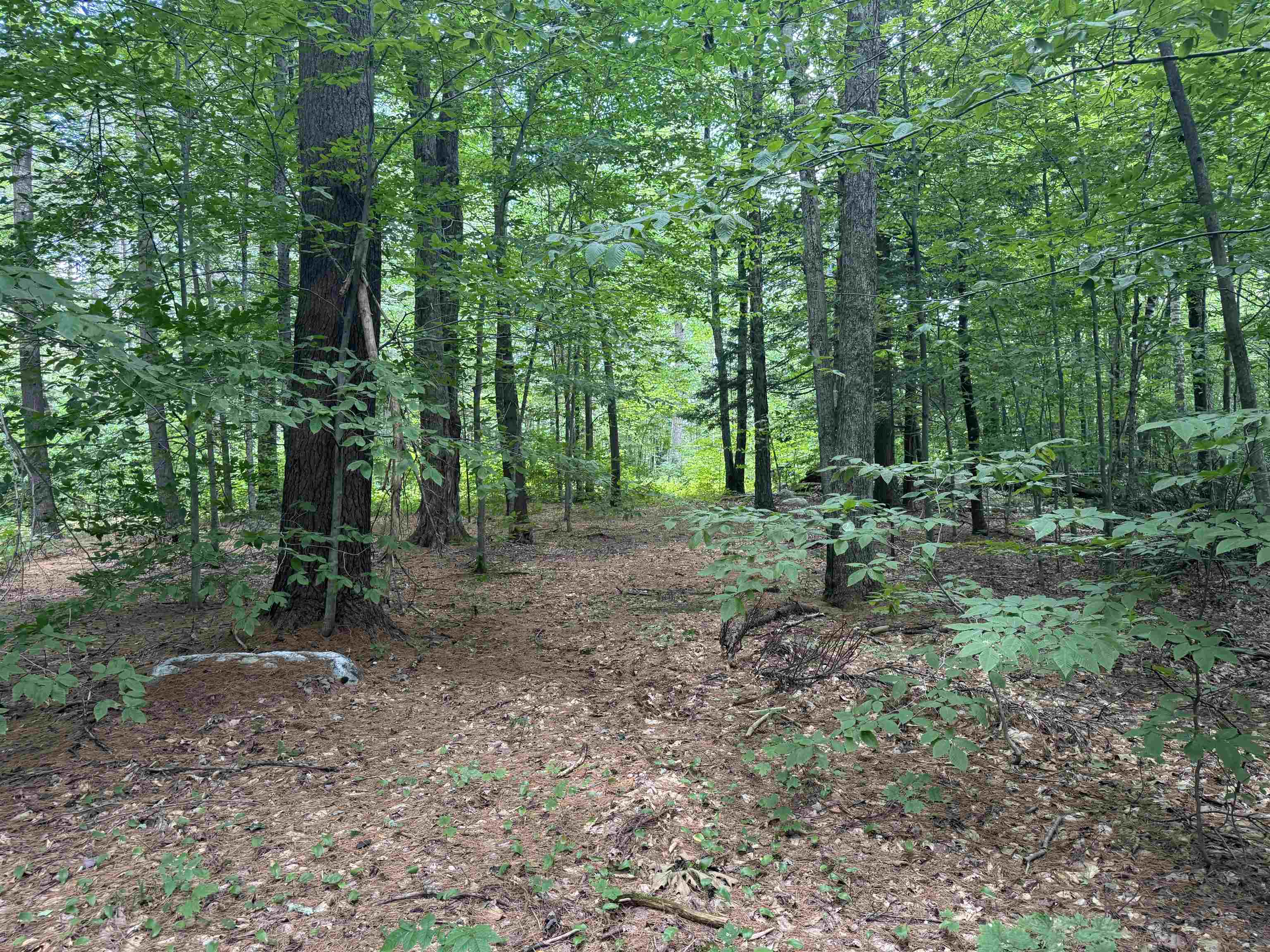 0 Havoc Hill Road East Dorset, VT 05253 - Photo 17 of 21