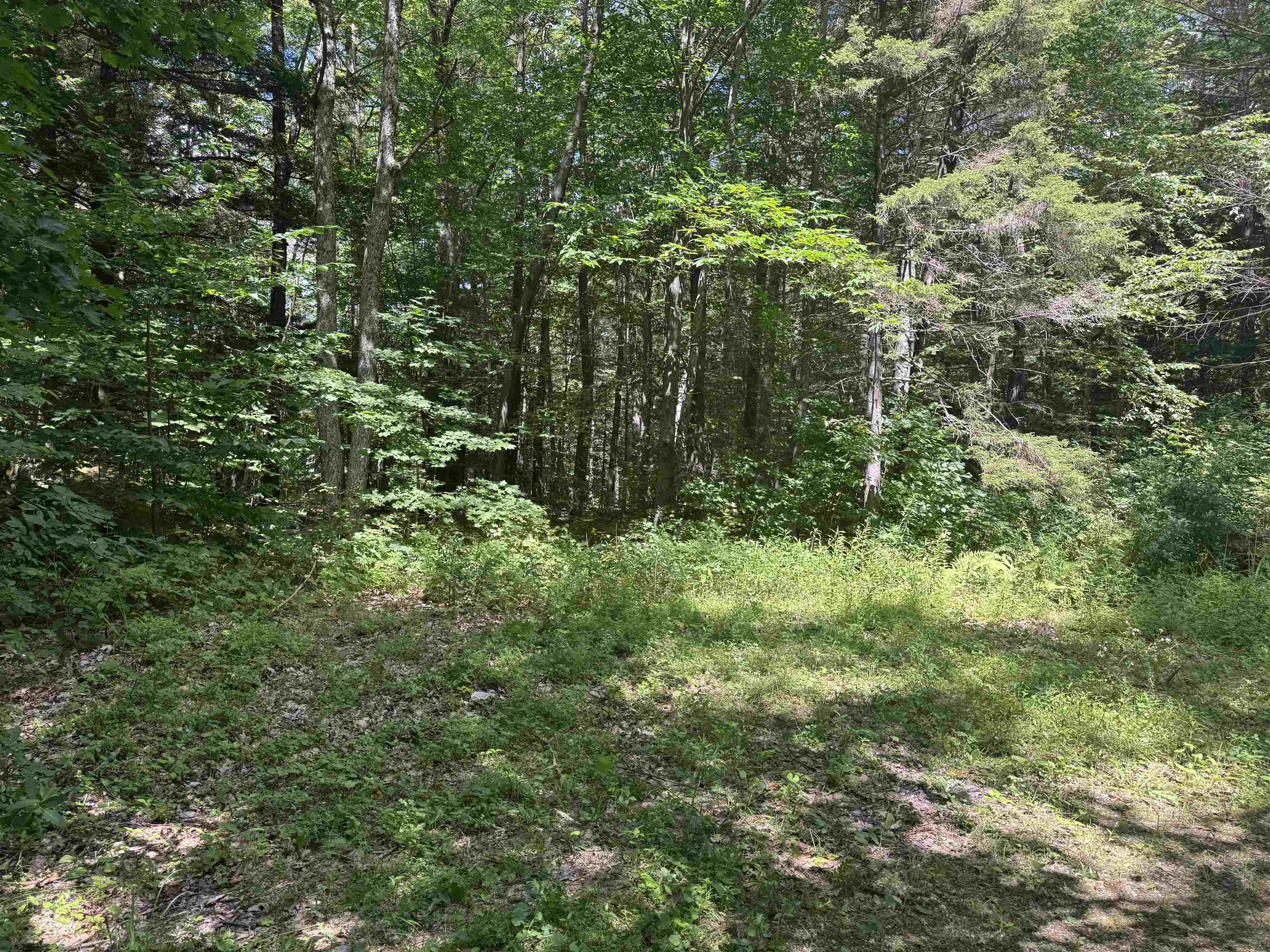 0 Havoc Hill Road East Dorset, VT 05253 - Photo 19 of 21