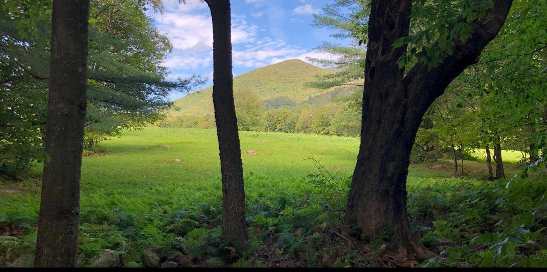 0 Havoc Hill Road East Dorset, VT 05253 - Photo 2 of 21