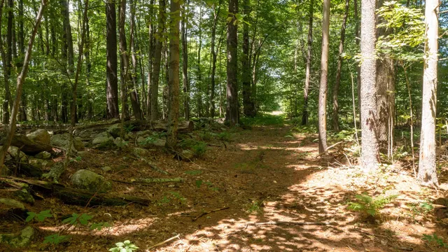 $249,000 | 0 Havoc Hill Road, East Dorset, VT 05253