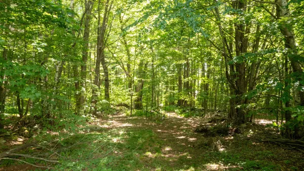 $249,000 | 0 Havoc Hill Road, East Dorset, VT 05253