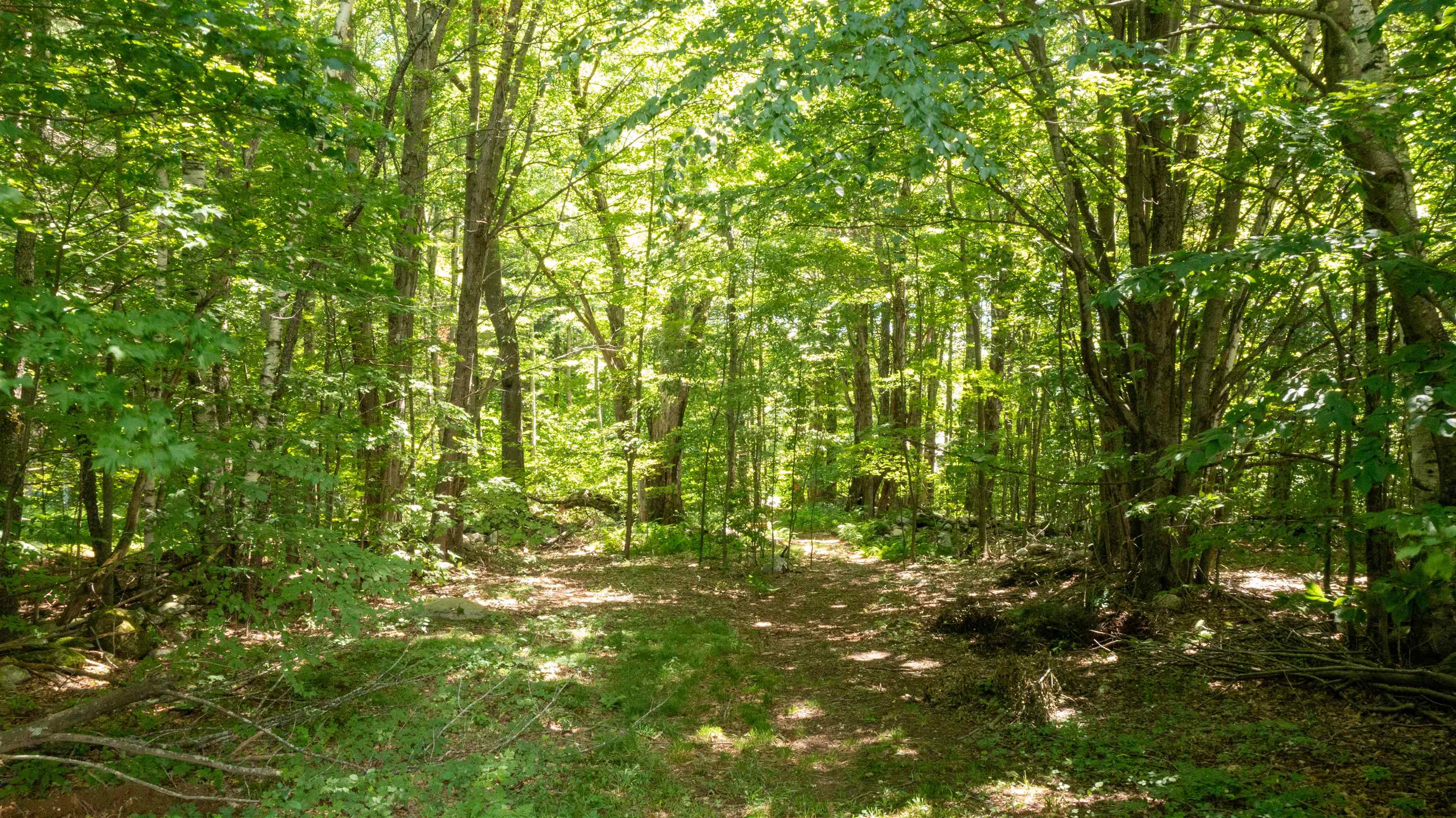 0 Havoc Hill Road East Dorset, VT 05253 - Photo 4 of 21