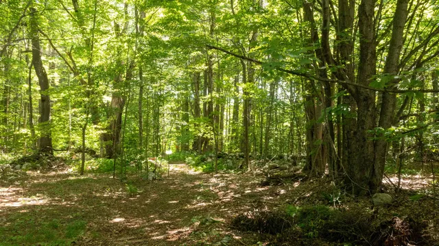 $249,000 | 0 Havoc Hill Road, East Dorset, VT 05253