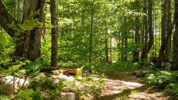 $249,000 | 0 Havoc Hill Road, East Dorset, VT 05253