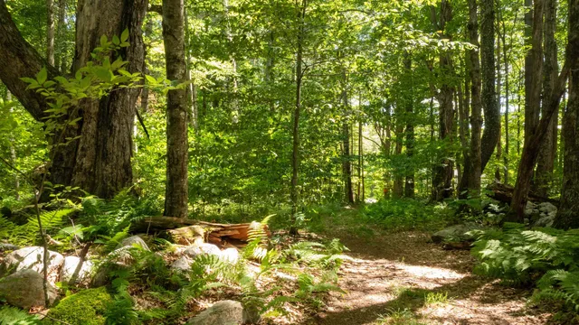 $249,000 | 0 Havoc Hill Road, East Dorset, VT 05253