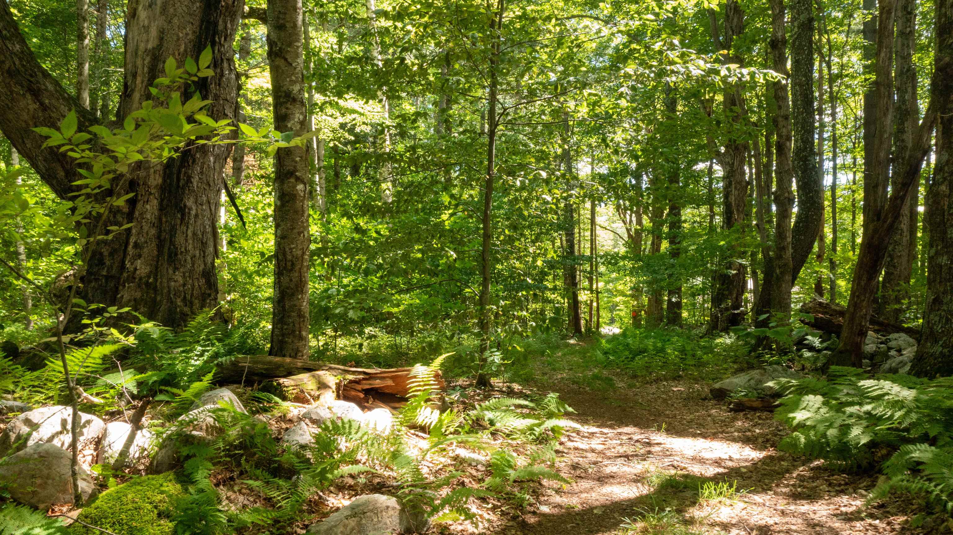 0 Havoc Hill Road East Dorset, VT 05253 - Photo 6 of 21