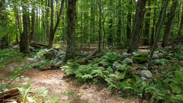 $249,000 | 0 Havoc Hill Road, East Dorset, VT 05253