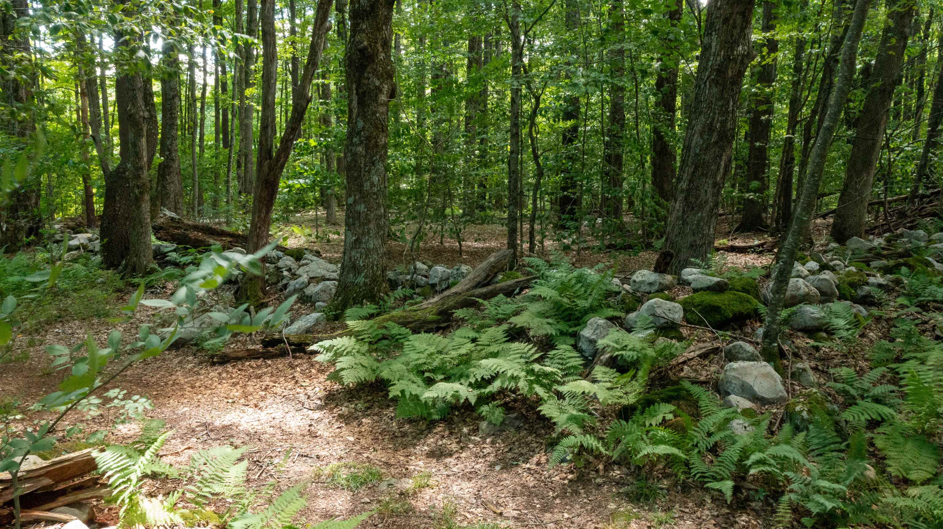 0 Havoc Hill Road East Dorset, VT 05253 - Photo 7 of 21