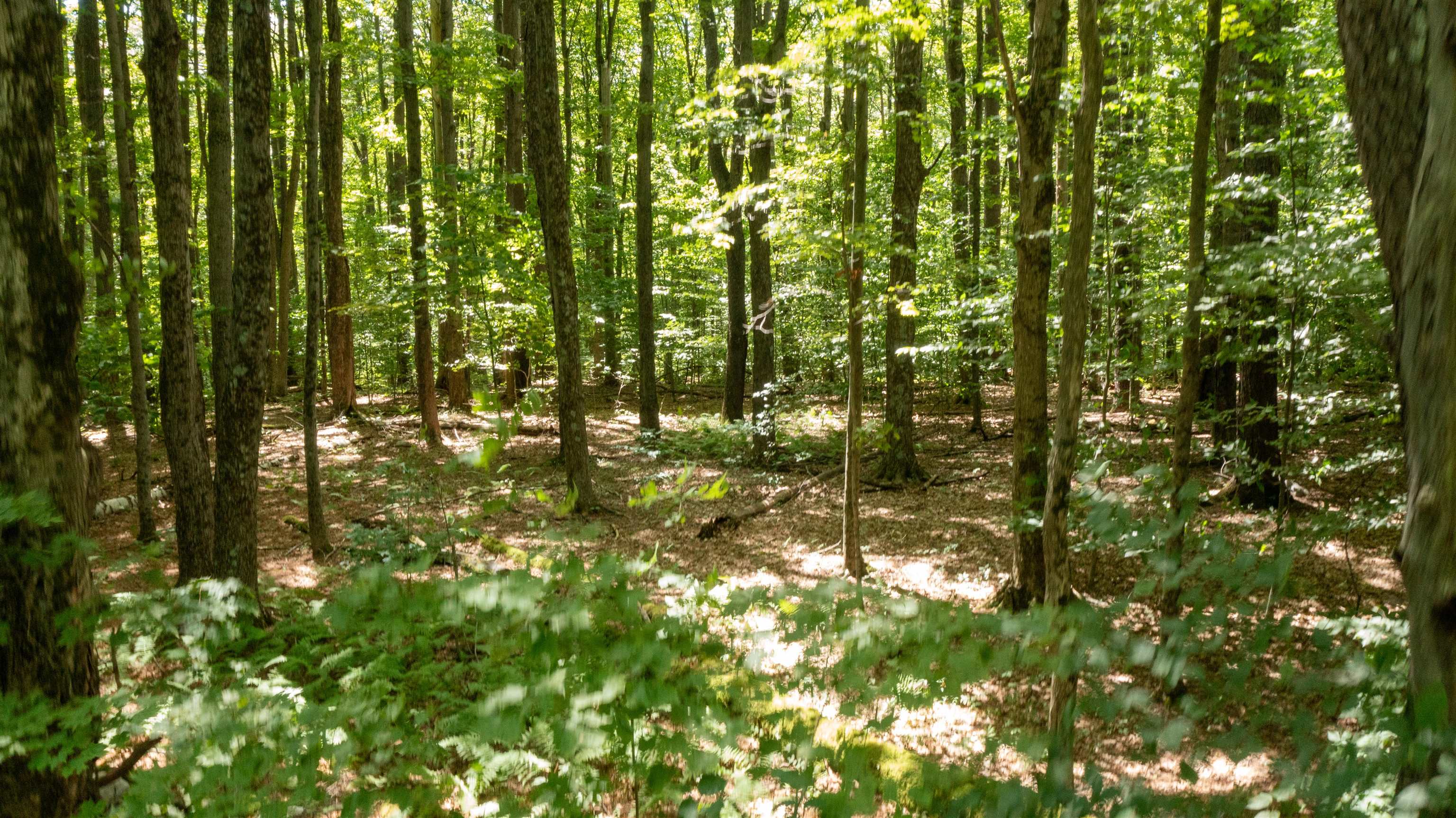 0 Havoc Hill Road East Dorset, VT 05253 - Photo 8 of 21