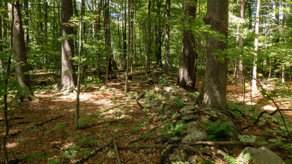 $249,000 | 0 Havoc Hill Road, East Dorset, VT 05253
